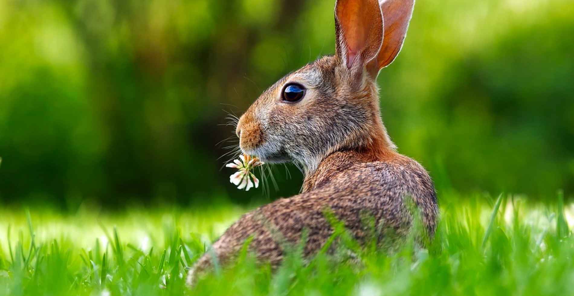 Wielkanoc 2026 - 4 noclegi