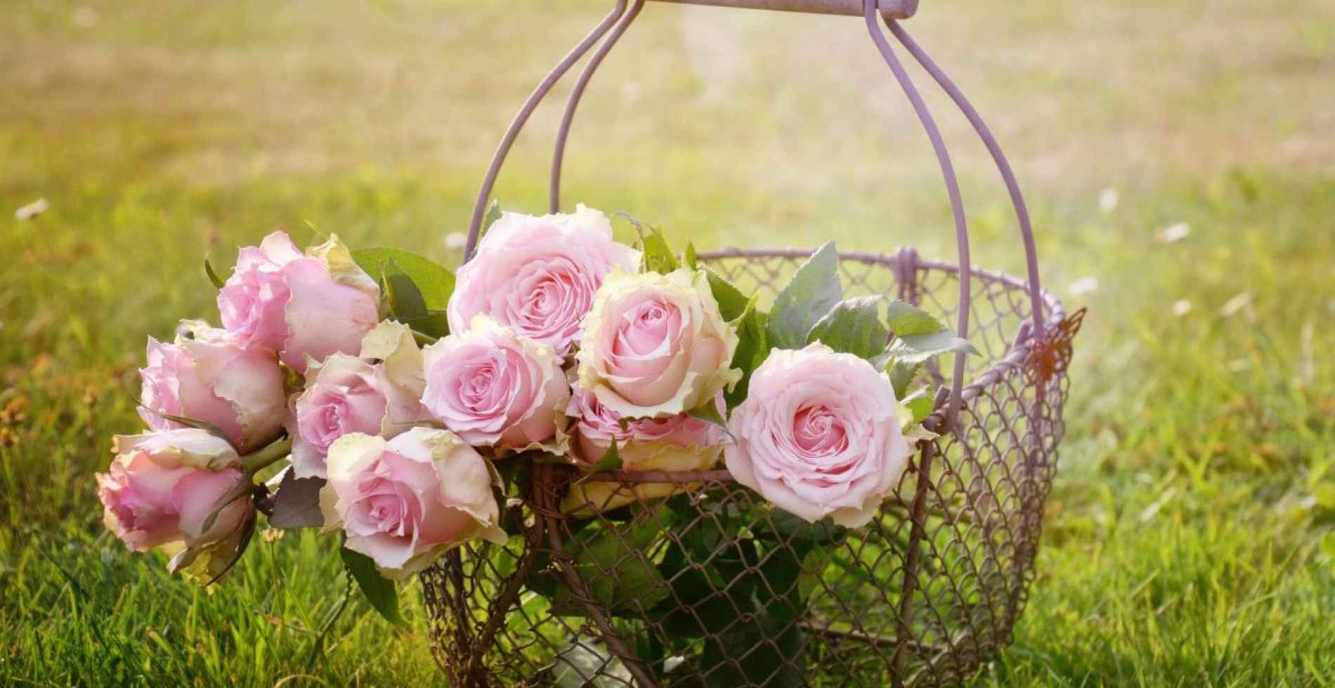 Romantyczny wieczór w Zamku Karpniki