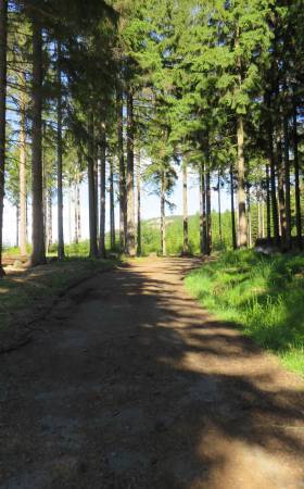 Zapraszamy do Zamku Karpniki