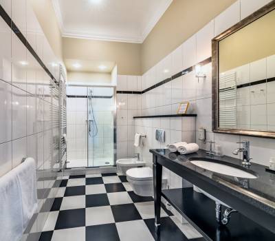 Junior Suite No. 14 - bathroom